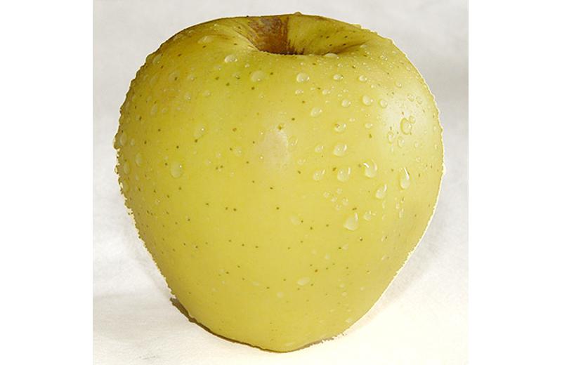 Golden Delicious