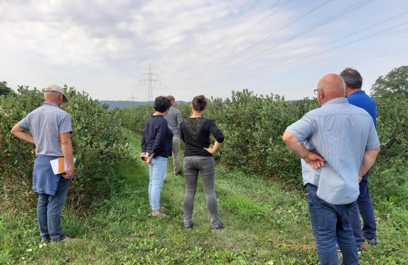 Besuch aus Frankreich